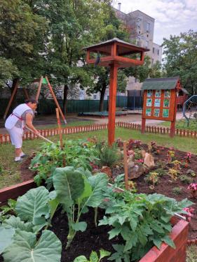 Színpompás egynyári növényeket kaptak a kerületi bölcsődék, óvodák
