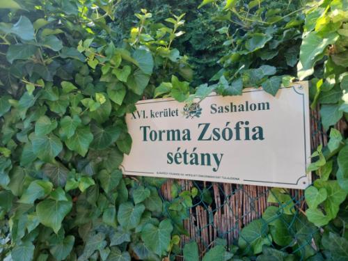 torma zsofiasetany tábla