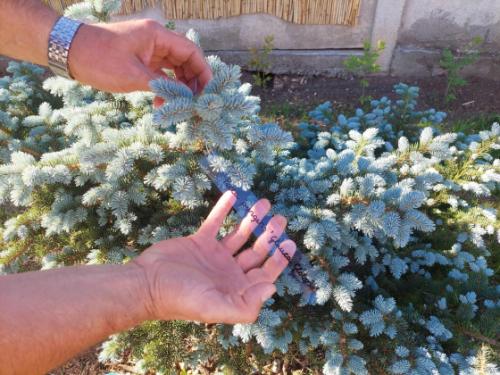 torma zsofiasetany botanikai tanösvény