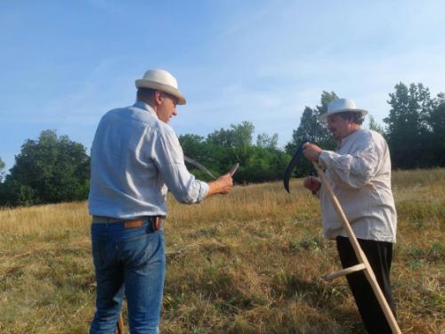 Önkormányzat lelkes munkatársai kaszálnak