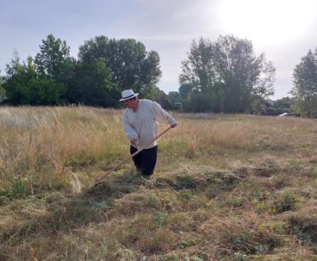 Önkormányzat lelkes munkatársai kaszálnak