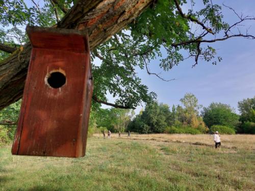 madáretető Csobaj utca végén található ligetes területen.
