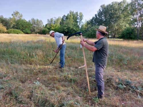 Önkormányzat lelkes munkatársai kaszálnak