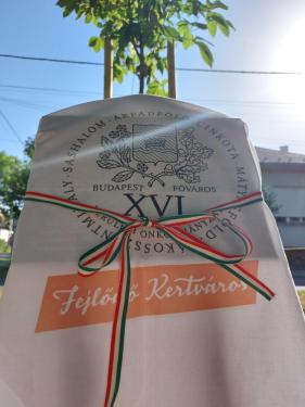 gróf Batthyány Ilona emléktábla