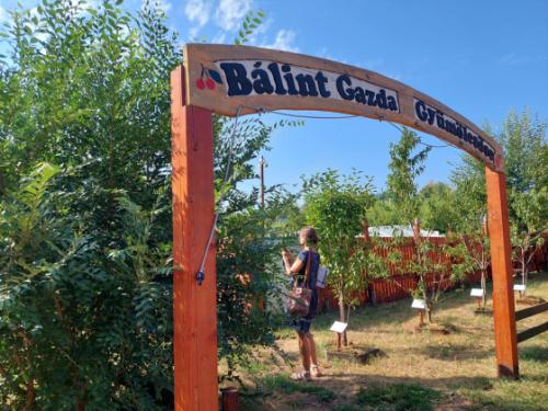 Bálint Gazda Gyümölcsöskertje tematikus útvonal