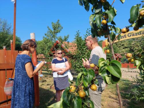 Bálint Gazda Gyümölcsöskertje tematikus útvonal