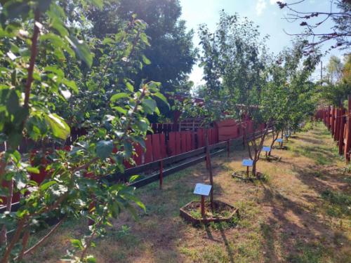 Bálint Gazda Gyümölcsöskertje tematikus útvonal