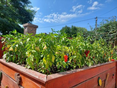 Bálint Gazda Gyümölcsöskertje tematikus útvonal