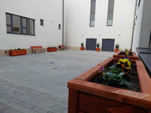 szentgyorgyi_atado_10