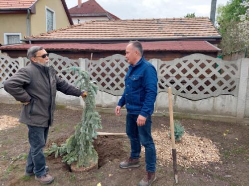 dr. Rácz István kertészmérnök, dendrológus és Ádám Attila főkertész növényeket ültetett a Torma Zsófia sétányon is