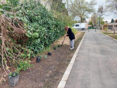 Az egyik szervező rendezi a terepet a Torma Zsófia sétányon