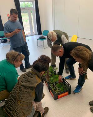 Ádám Attila főkertész növény felismerést tart a résztvevőknek