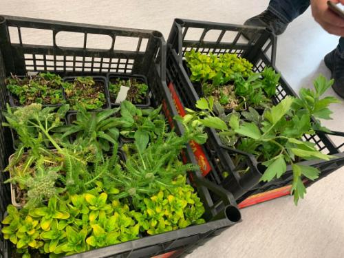 A programon résztvevők különböző vihettek haza a Szentmihályi Kulturális Központból