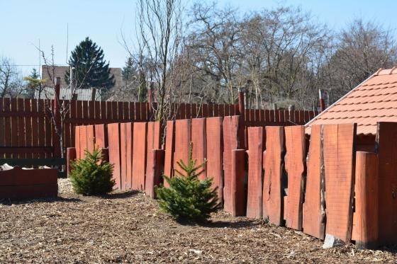 fenyők a kertvárosi tanyaudvarban