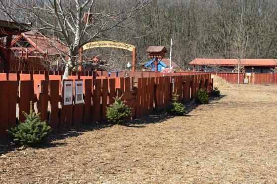 fenyők a kertvárosi tanyaudvarban