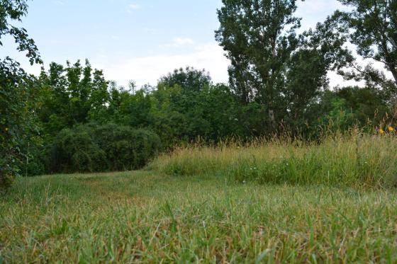 Csobaj utcai ligetes terület