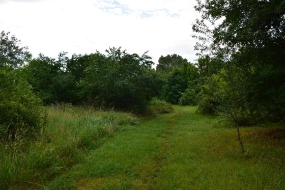 Csobaj utcai ligetes terület