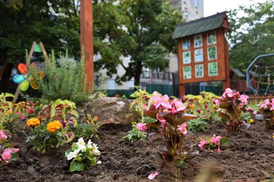 Színpompás egynyári növényeket kaptak a kerületi bölcsődék, óvodák