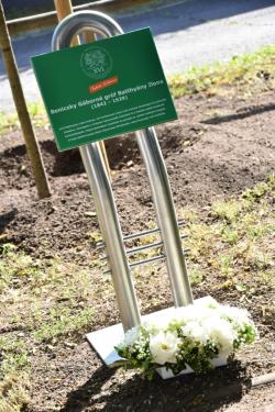 gróf Batthyány Ilona emléktábla