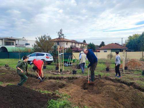 Szász József alpolgármester fát ültet