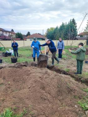 Csobaj-bánya faültetés