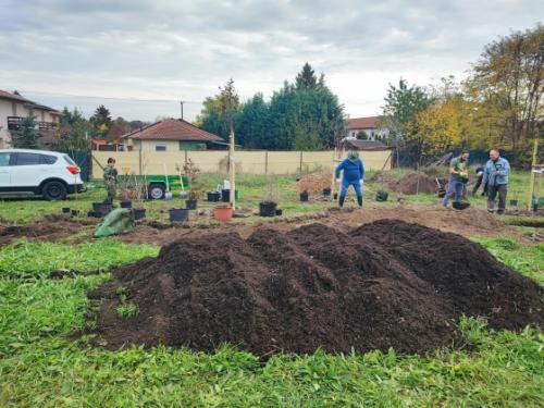 Csobaj-bánya faültetés