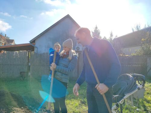 Faültetés a Csíkszentmihály téri babaligetben