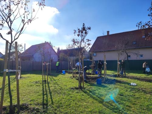 Csíkszentmihály téri babaliget