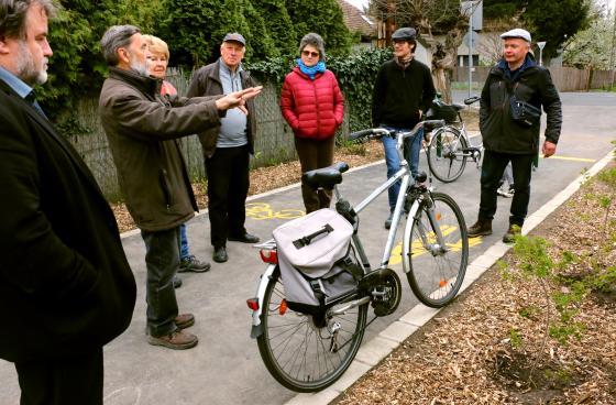 dr. Rácz István kertészmérnök, dendrológus a Torma Zsófia sétány növényeit mutatta be az érdeklődőknek