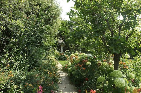 virágokkal teli kert