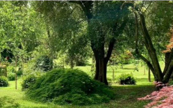 kert a nepsütésben