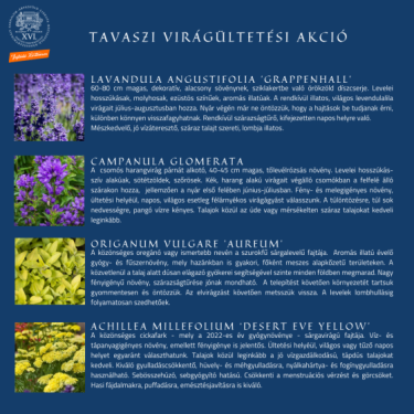 tájékoztató a tavaszi virágültetés program virágairól