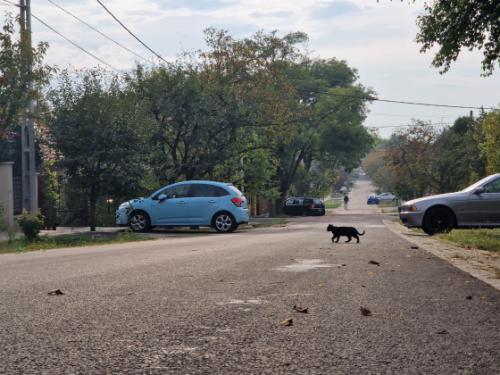 A felújított Zsenge utca