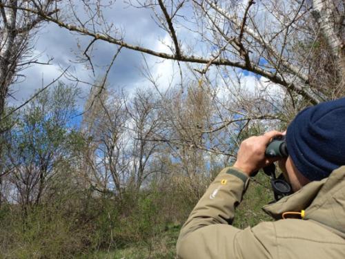 A Madártani Egyesület munkatársai is csatlakoztak a területbejáráshoz.