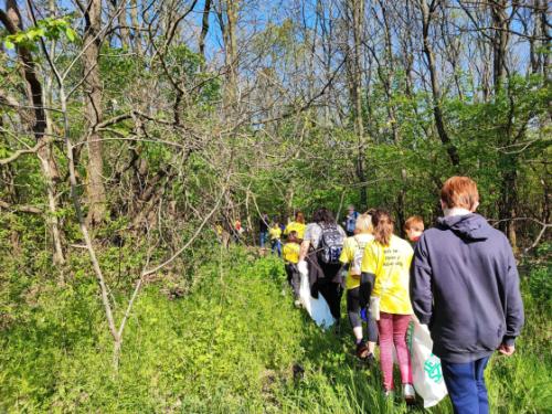 Sikeres volt a TeSzedd! akció.