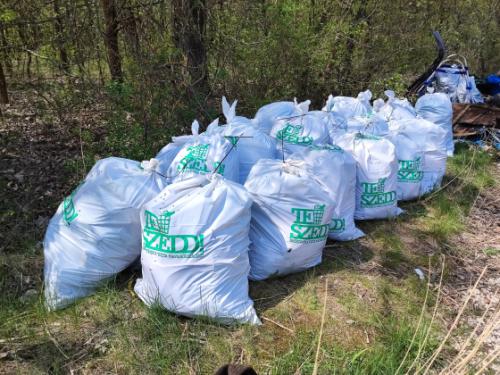 Sikeres volt a TeSzedd! akció.