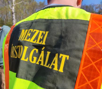 Sikeres volt a TeSzedd! akció.