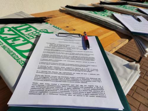 Sikeres volt a TeSzedd! akció.