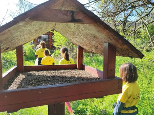 Sikeres volt a TeSzedd! akció.