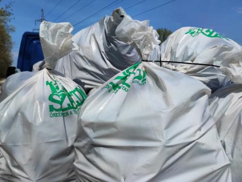 Sikeres volt a TeSzedd! akció.