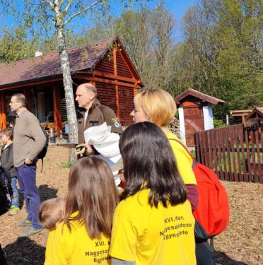 Sikeres volt a TeSzedd! akció.