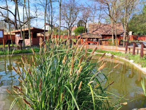 Sikeres volt a TeSzedd! akció.