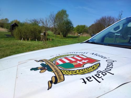 Sikeres volt a TeSzedd! akció.