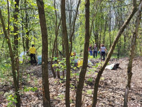 Sikeres volt a TeSzedd! akció.