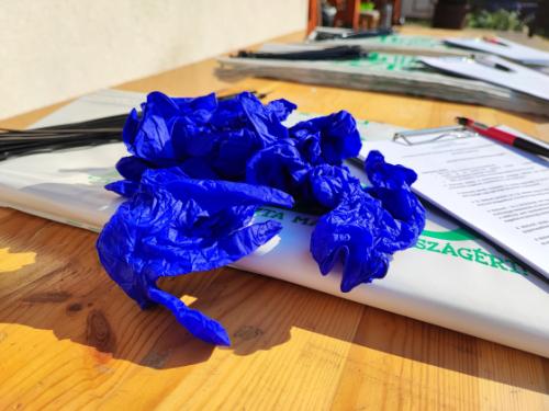 Sikeres volt a TeSzedd! akció.