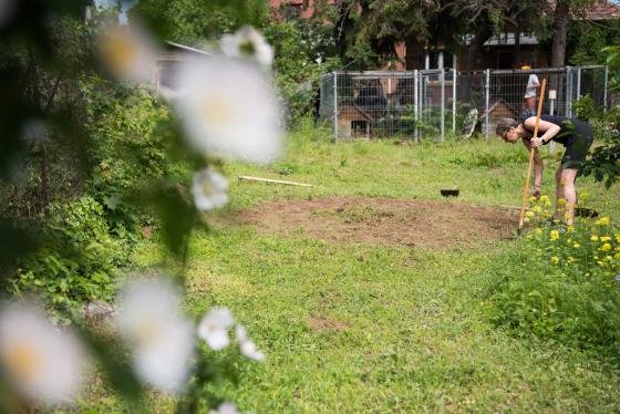 A kísérő tanár kertészkedik.