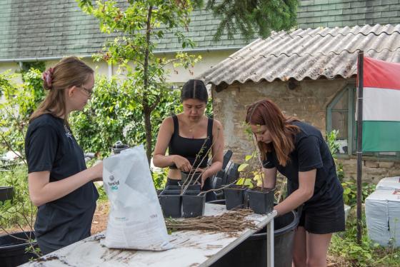 Ültetnek a dán diákok.