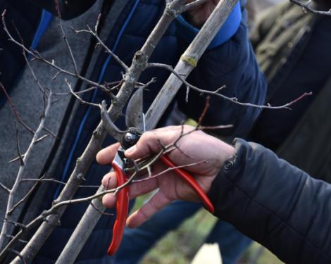 a metsző olló helyes fogása