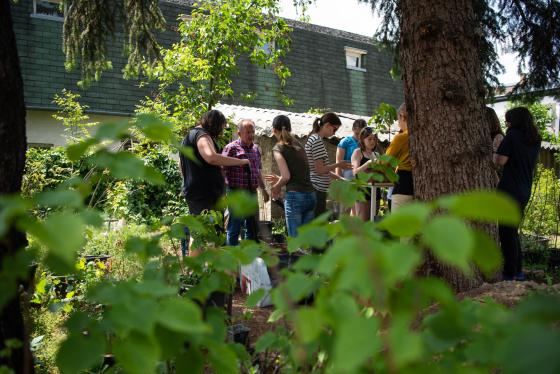diákok ültetés közben