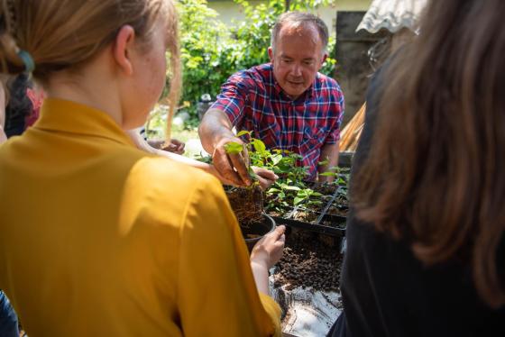 diákok ültetés közben